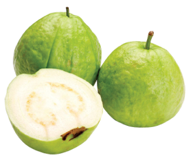 Three guava fruit